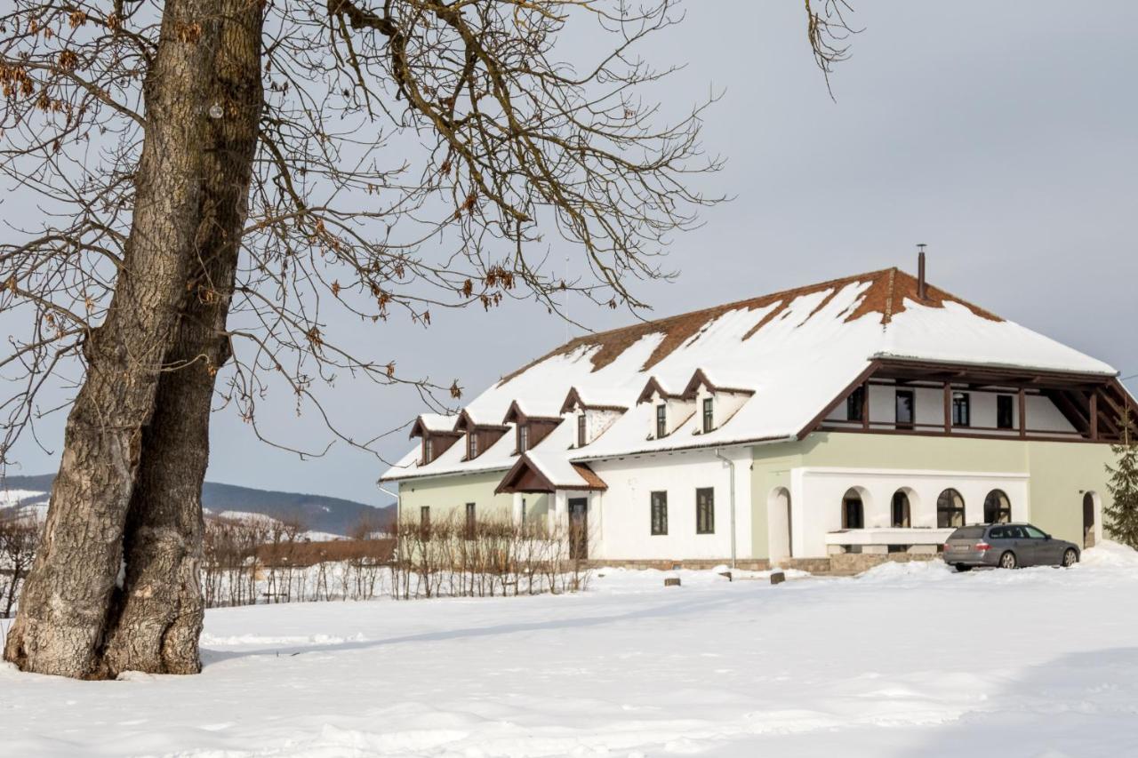 Castle Hotel Daniel Бараолт Екстер'єр фото